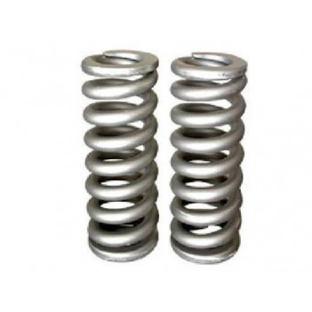 Cummins ISX valve spring