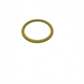 Cummins ISX o-ring injector
