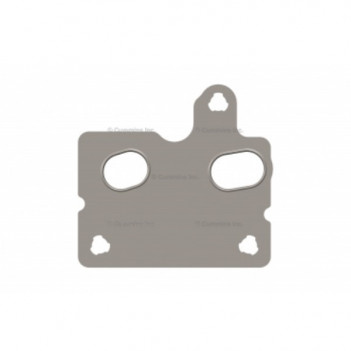 Cummins ISX gasket fuel pump