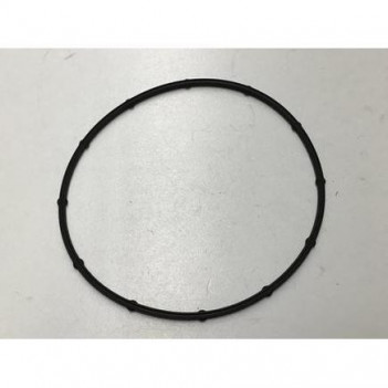 Cummins ISX o-ring