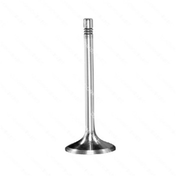 Volvo D13 exhaust valve