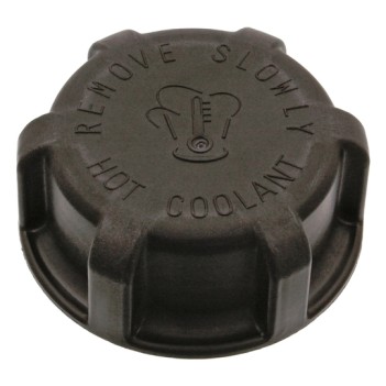 Scania G460 header tank cap