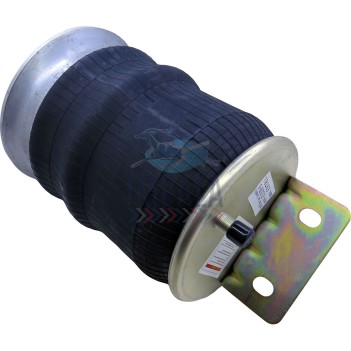 Freightliner Argosy Airbag...