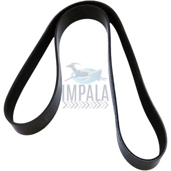 V-ribbed fan belt for Cummins N14 engines in ERF trucks, designed for reliable cooling system performance.