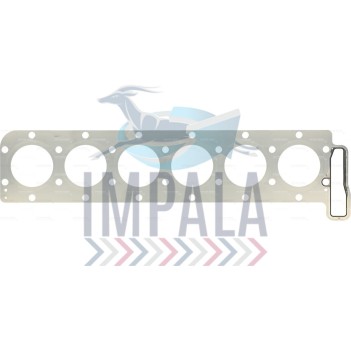 Man D2066 cylinder Head Gasket