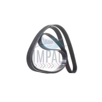 V-ribbed alternator belt for Freightliner Argosy trucks with Cummins ISX engines.