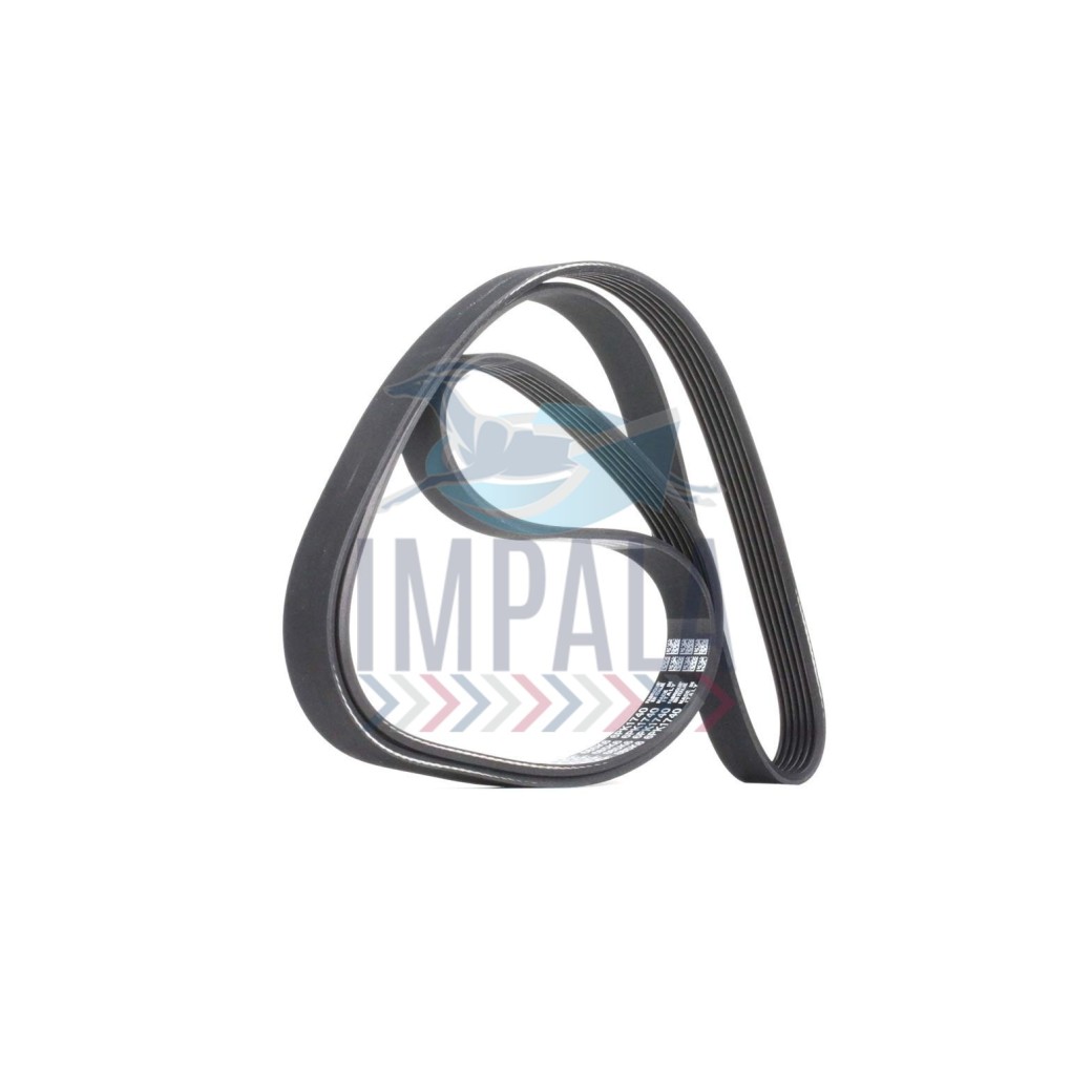V-ribbed alternator belt for Freightliner Argosy trucks with Cummins ISX engines.